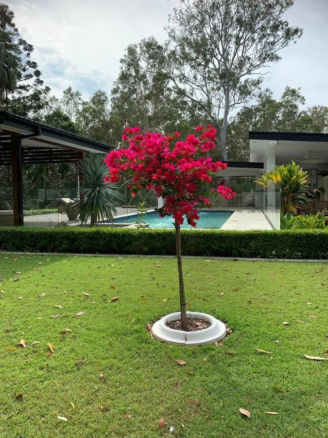 Nature Paradise New Acreage 4 Bedroom House Capalaba Guest house